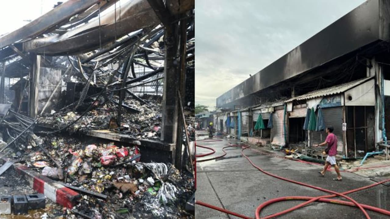 തായ്ലാൻഡിലെ പ്രശസ്തമായ ചന്തയിൽ അഗ്നിബാധ, എരിഞ്ഞമർന്നത് ആയിരത്തോളം വളർത്തുമൃഗങ്ങൾ തായ്ലാൻഡിലെ പ്രശസ്തമായ ചന്തയിൽ അഗ്നിബാധ, എരിഞ്ഞമർന്നത് ആയിരത്തോളം വളർത്തുമൃഗങ്ങൾ