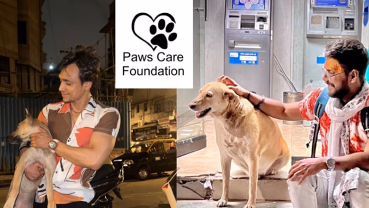 Manish Chaurasia and Ansh Mishra Lead Paws Care Foundation’s Efforts to Help Stray Dogs During June Rain Manish Chaurasia and Ansh Mishra Lead Paws Care Foundation’s Efforts to Help Stray Dogs During June Rain
