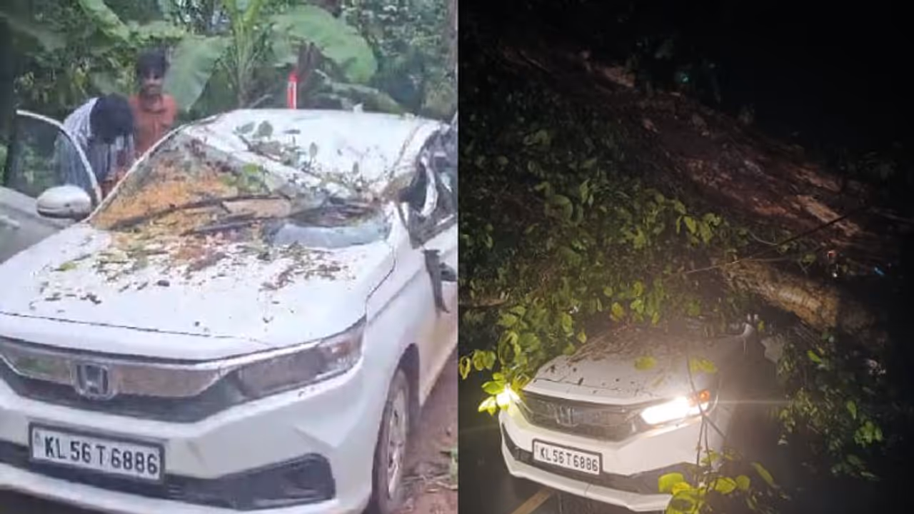 പൊലീസുകാരിയും കുടുംബവും സഞ്ചരിച്ച കാറിന് മുകളിൽ കൂറ്റൻ മരങ്ങൾ കടപുഴകി, കുട്ടികളടക്കം രക്ഷപ്പെട്ടത് തലനാരിഴക്ക് പൊലീസുകാരിയും കുടുംബവും സഞ്ചരിച്ച കാറിന് മുകളിൽ കൂറ്റൻ മരങ്ങൾ കടപുഴകി, കുട്ടികളടക്കം രക്ഷപ്പെട്ടത് തലനാരിഴക്ക്