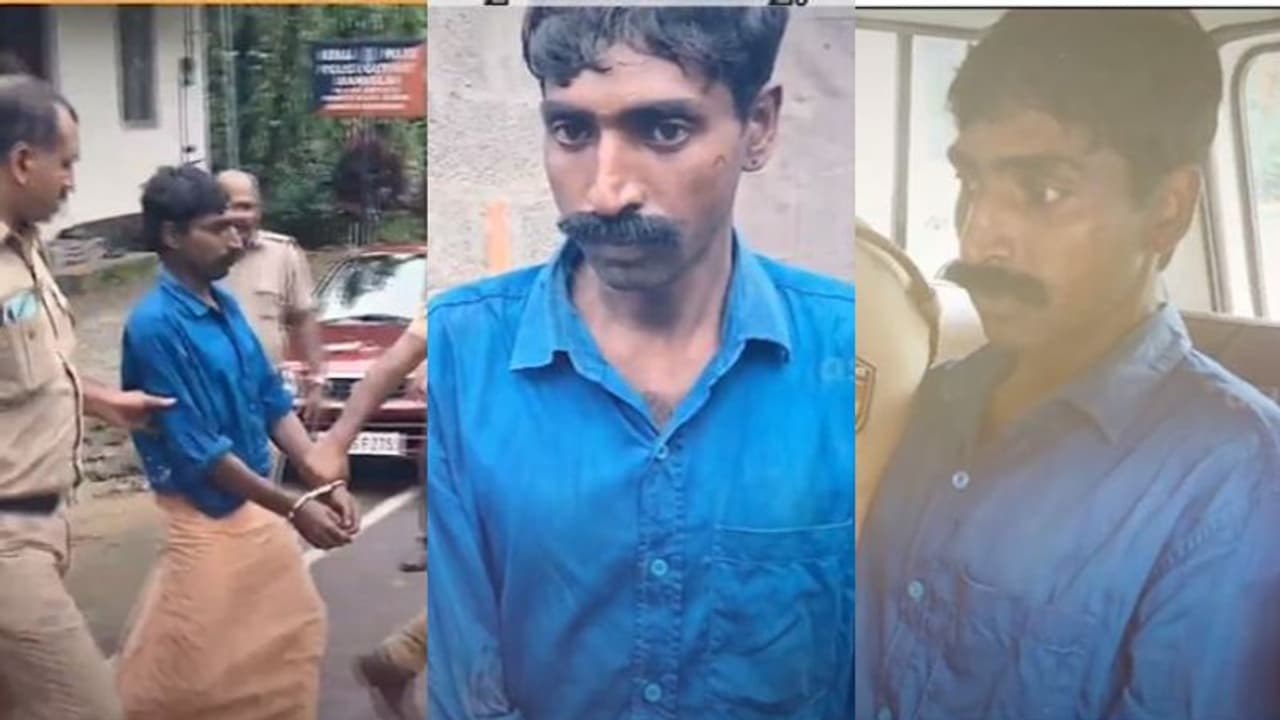 'ആദ്യം തലയ്ക്കടിച്ചു, പ്ലാസ്റ്റിക് ഷീറ്റ് മൂടി കത്തിച്ചു'; മാങ്കുളത്ത് മകൻ അച്ഛനെ കൊന്നത് പണം നൽകാത്തതിനാൽ