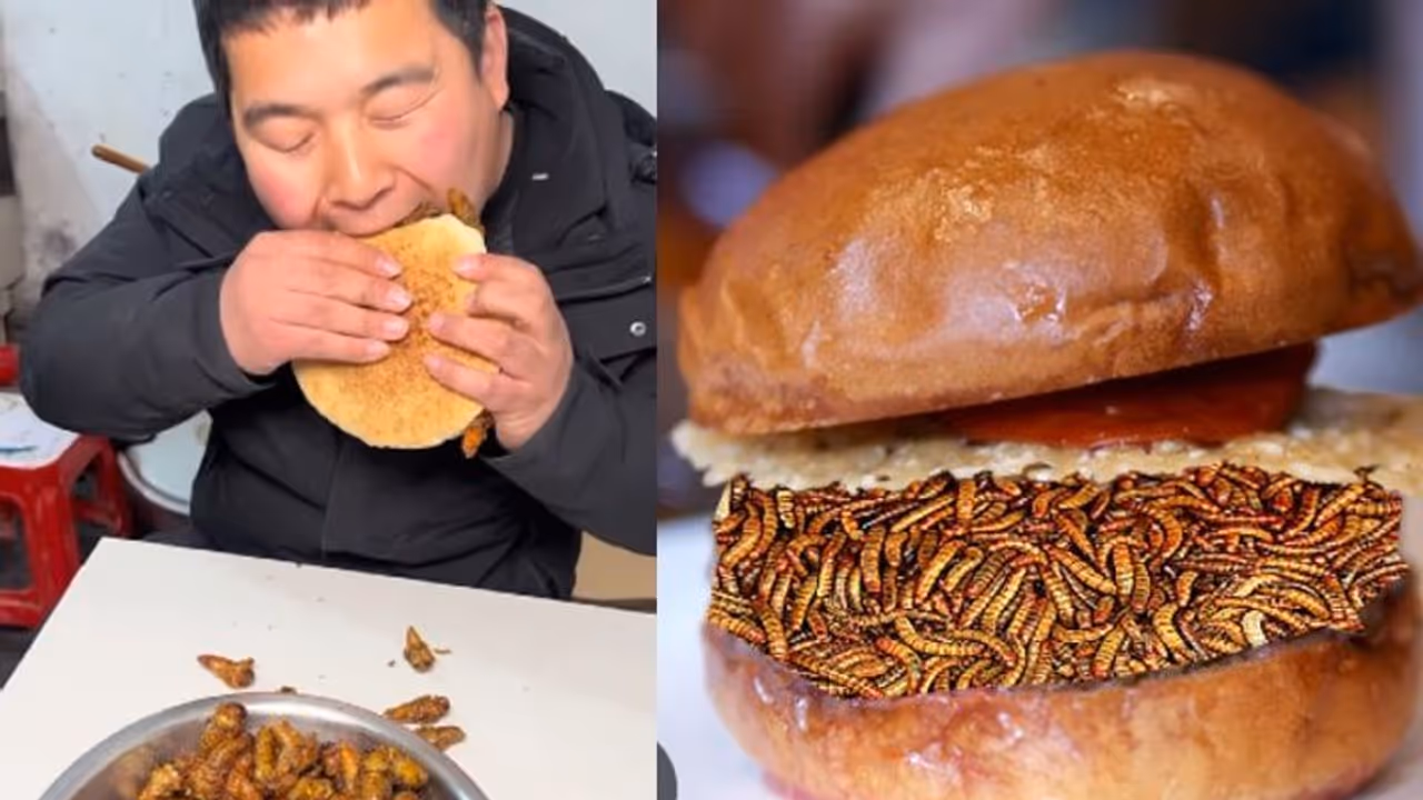 ವೈರಲ್ ಹುಳುಗಳ ಬರ್ಗರ್; 'ಮೊದಲು ನೀವದನ್ನು ತಿನ್ನಿ ನಂತರ ಅವು ನಿಮ್ಮನ್ನು ತಿನ್ನುತ್ತವೆ!'