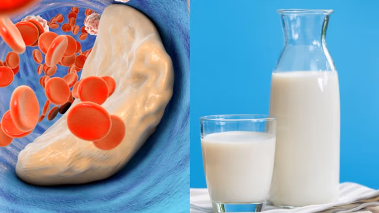 കൊളസ്ട്രോള്‍ കുറയ്ക്കാന്‍ ഡയറ്റില്‍ ഉള്‍പ്പെടുത്താം ഈ നാല് തരം മില്‍ക്കുകള്‍