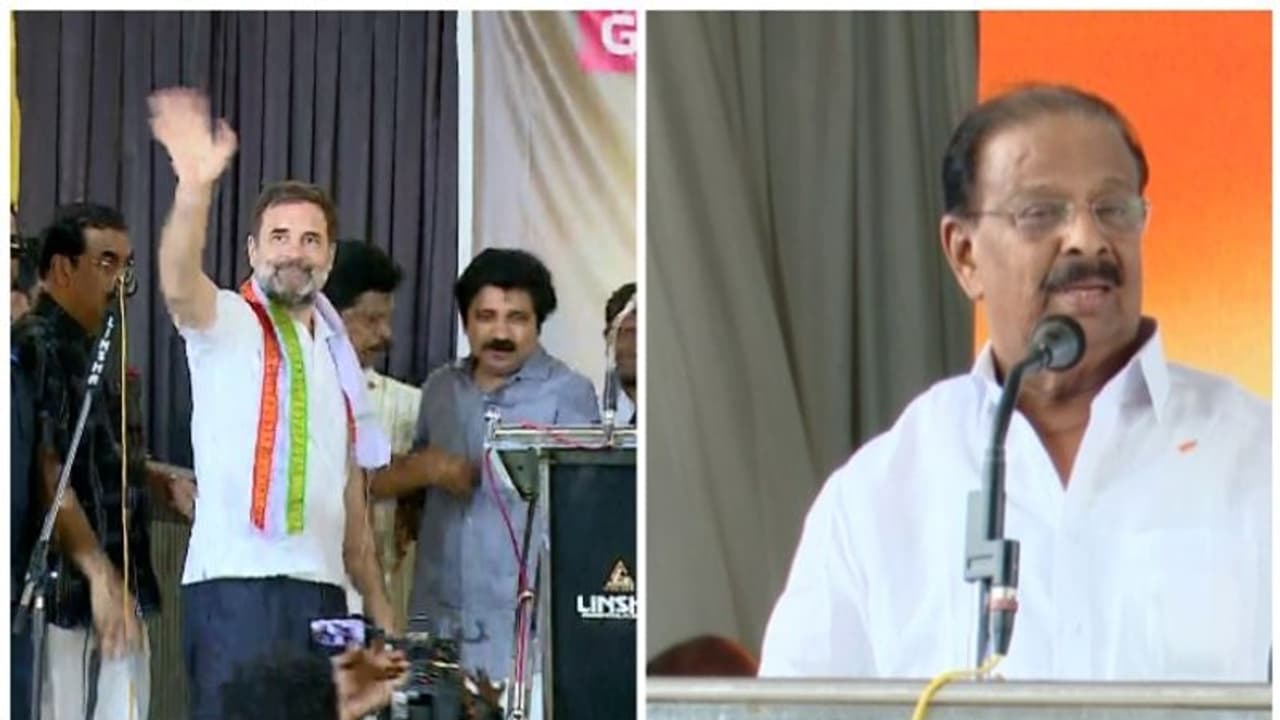 'രാഹുൽ ഗാന്ധി വയനാട് ഒഴിയും; നേട്ടത്തിൽ സന്തോഷം, വയനാട് വിടുന്നതിൽ ദുഃഖമുണ്ട്': കെ സുധാകരൻ 'രാഹുൽ ഗാന്ധി വയനാട് ഒഴിയും; നേട്ടത്തിൽ സന്തോഷം, വയനാട് വിടുന്നതിൽ ദുഃഖമുണ്ട്': കെ സുധാകരൻ