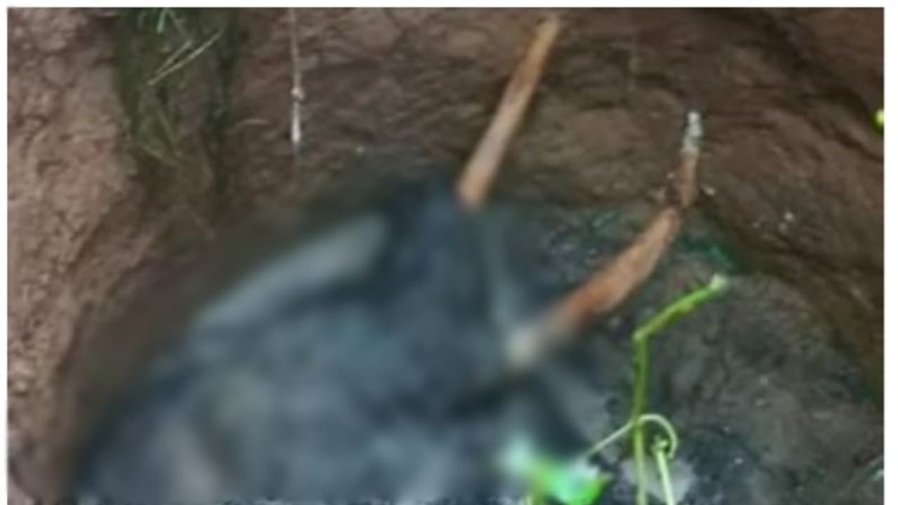 കിണറില് അഴുകിയ നിലയില് കണ്ടെത്തിയ കാട്ടാനയുടെ ജഡം സംസ്കരിച്ചു; കൊമ്പുകള് സ്ട്രോങ്ങ് റൂമിലേക്ക് മാറ്റും കിണറില് അഴുകിയ നിലയില് കണ്ടെത്തിയ കാട്ടാനയുടെ ജഡം സംസ്കരിച്ചു; കൊമ്പുകള് സ്ട്രോങ്ങ് റൂമിലേക്ക് മാറ്റും