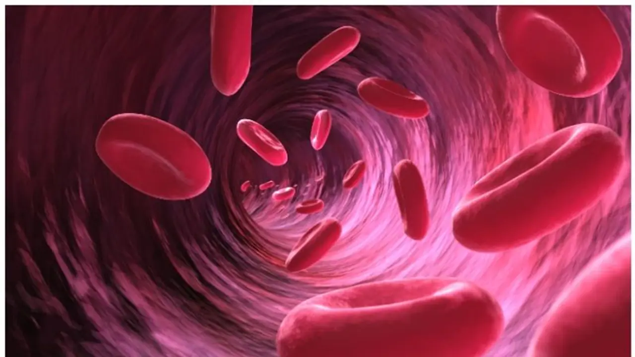 ರಕ್ತಹೀನತೆಯಿಂದ ಬಳಲುತ್ತಿದ್ದೀರಾ? ಹೀಮೋಗ್ಲೋಬಿನ್ ಹೆಚ್ಚಿಸುವ 8 ಆಹಾರಗಳು ಇಲ್ಲಿವೆ ರಕ್ತಹೀನತೆಯಿಂದ ಬಳಲುತ್ತಿದ್ದೀರಾ? ಹೀಮೋಗ್ಲೋಬಿನ್ ಹೆಚ್ಚಿಸುವ 8 ಆಹಾರಗಳು ಇಲ್ಲಿವೆ