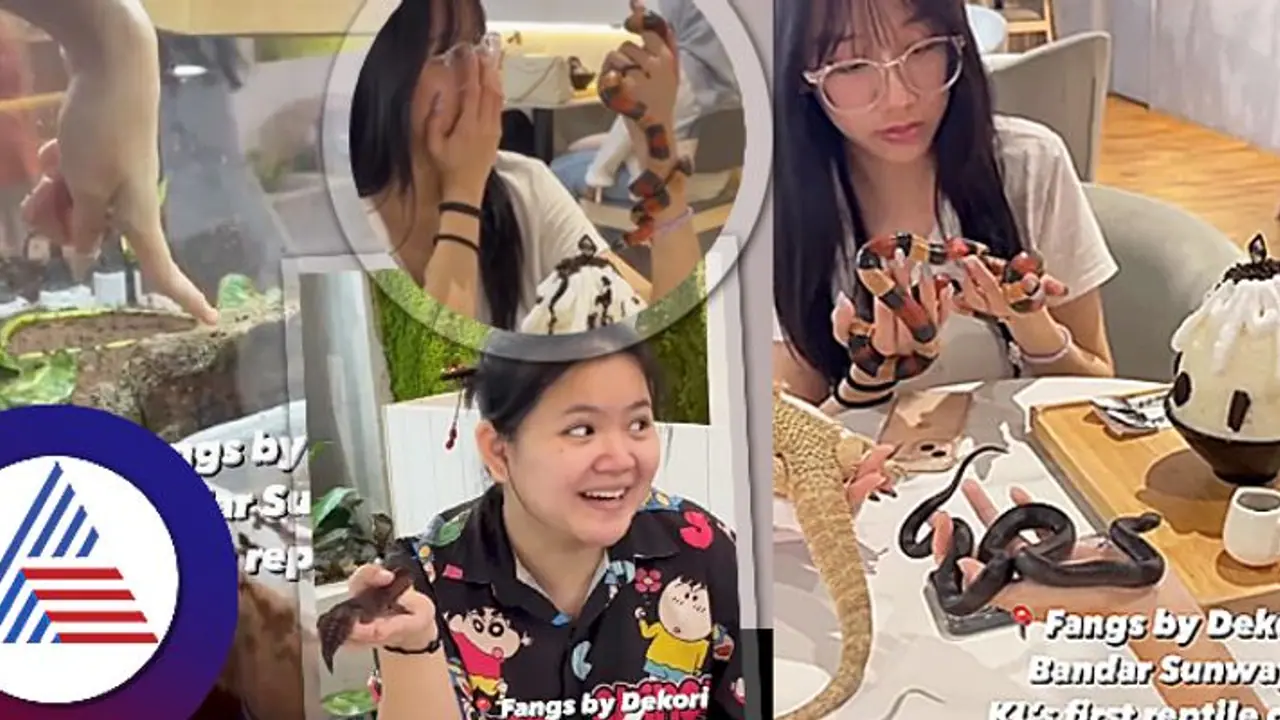  Snake Cafe : ಮೈಮೇಲೆ ಹಾವು ಬಿಡ್ಕೊಂಡು ಕಾಫಿ ಹೀರ್ತಾರೆ ಇಲ್ಲಿ!