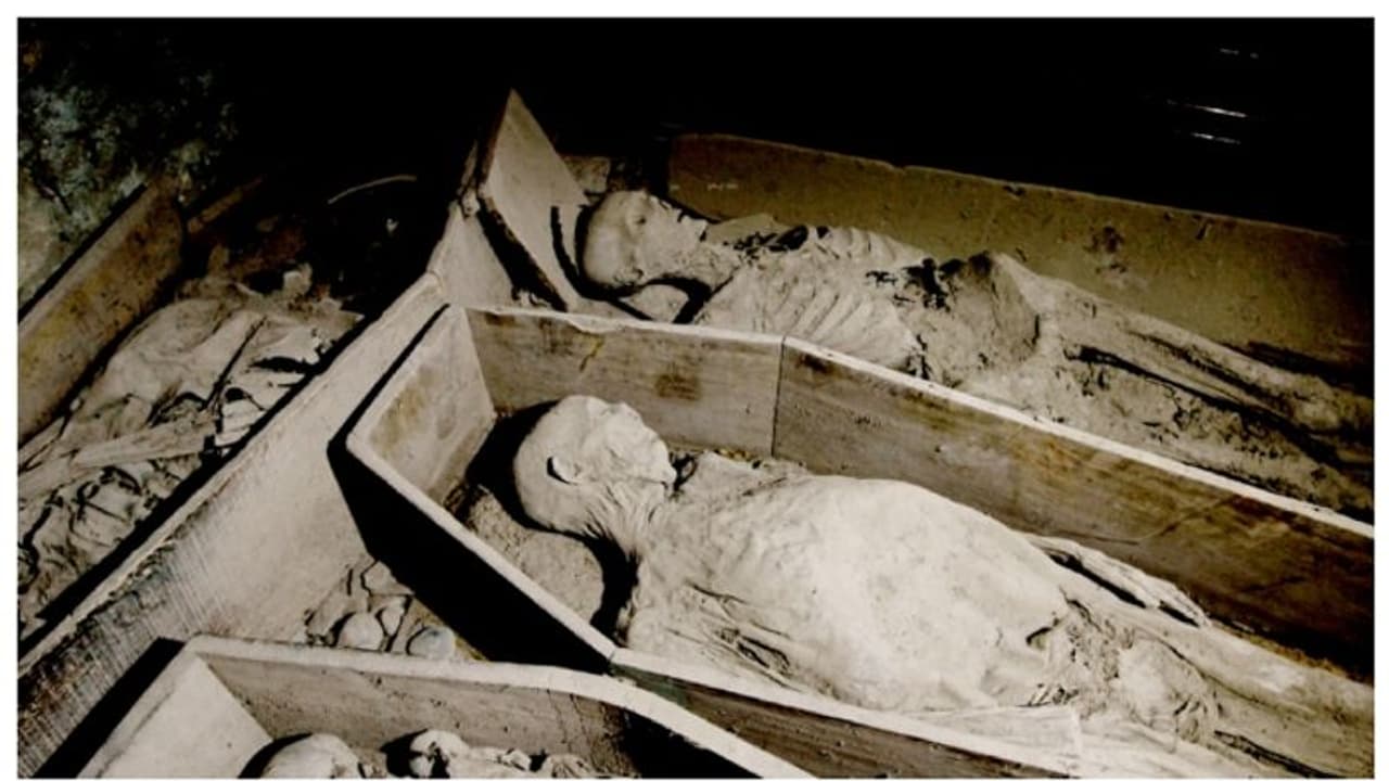 ഡബ്ലിന് പള്ളിയിലെ തീപിടിത്തം; നൂറ്റാണ്ടുകള് പഴക്കമുള്ള മമ്മികള് നശിപ്പിക്കപ്പെട്ടു ഡബ്ലിന് പള്ളിയിലെ തീപിടിത്തം; നൂറ്റാണ്ടുകള് പഴക്കമുള്ള മമ്മികള് നശിപ്പിക്കപ്പെട്ടു