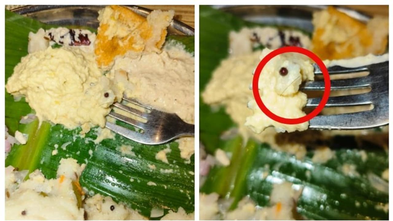 'ചട്ണി'യിൽ മുടി, തെലങ്കാനയിലെ ജനപ്രിയ റെസ്റ്റോറന്റ് 'ചട്ണീസി'ന് 5,000 രൂപ പിഴ 'ചട്ണി'യിൽ മുടി, തെലങ്കാനയിലെ ജനപ്രിയ റെസ്റ്റോറന്റ് 'ചട്ണീസി'ന് 5,000 രൂപ പിഴ