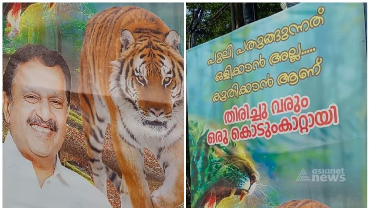 'പുലി പതുങ്ങുന്നത് ഒളിക്കാനല്ല കുതിക്കാൻ'; കെ മുരളീധരനെ അനുകൂലിച്ച് കോഴിക്കോട് വീണ്ടും ഫ്ലെക്സ് 'പുലി പതുങ്ങുന്നത് ഒളിക്കാനല്ല കുതിക്കാൻ'; കെ മുരളീധരനെ അനുകൂലിച്ച് കോഴിക്കോട് വീണ്ടും ഫ്ലെക്സ്