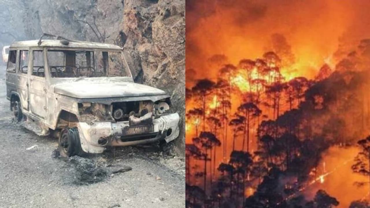 ബിൻസാർ വന്യജീവി സങ്കേതത്തിലെ കാട്ടുതീ; 4 വനംവകുപ്പ് ഉദ്യോഗസ്ഥർ മരിച്ചു, തീ നിയന്ത്രണ വിധേയമാക്കാൻ തീവ്രശ്രമം ബിൻസാർ വന്യജീവി സങ്കേതത്തിലെ കാട്ടുതീ; 4 വനംവകുപ്പ് ഉദ്യോഗസ്ഥർ മരിച്ചു, തീ നിയന്ത്രണ വിധേയമാക്കാൻ തീവ്രശ്രമം