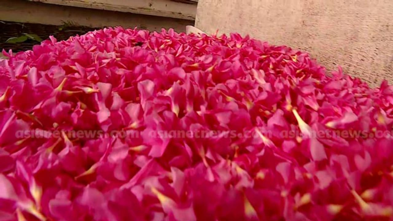 എറണാകുളത്ത് രണ്ട് കുട്ടികൾ അരളി പൂവ് കഴിച്ചെന്ന് സംശയം: അസ്വസ്ഥതകൾ നേരിട്ടു, ആശുപത്രിയിൽ പ്രവേശിപ്പിച്ചു എറണാകുളത്ത് രണ്ട് കുട്ടികൾ അരളി പൂവ് കഴിച്ചെന്ന് സംശയം: അസ്വസ്ഥതകൾ നേരിട്ടു, ആശുപത്രിയിൽ പ്രവേശിപ്പിച്ചു