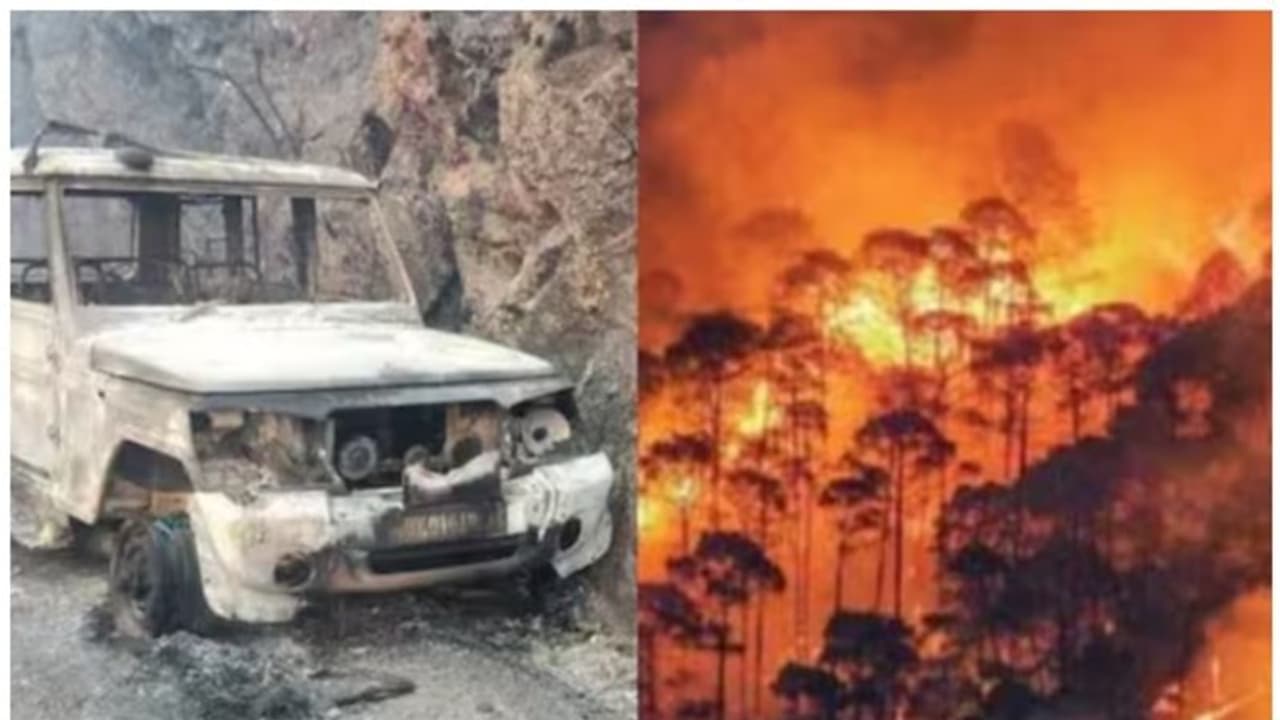 ഉത്തരാഖണ്ഡിലെ കാട്ടുതീ; 10 ഫോറസ്റ്റ് കൺസർവേറ്റർമാര്ക്ക് സസ്പെൻഷൻ; അശ്രദ്ധയെന്ന് അന്വേഷണ റിപ്പോർട്ട് ഉത്തരാഖണ്ഡിലെ കാട്ടുതീ; 10 ഫോറസ്റ്റ് കൺസർവേറ്റർമാര്ക്ക് സസ്പെൻഷൻ; അശ്രദ്ധയെന്ന് അന്വേഷണ റിപ്പോർട്ട്