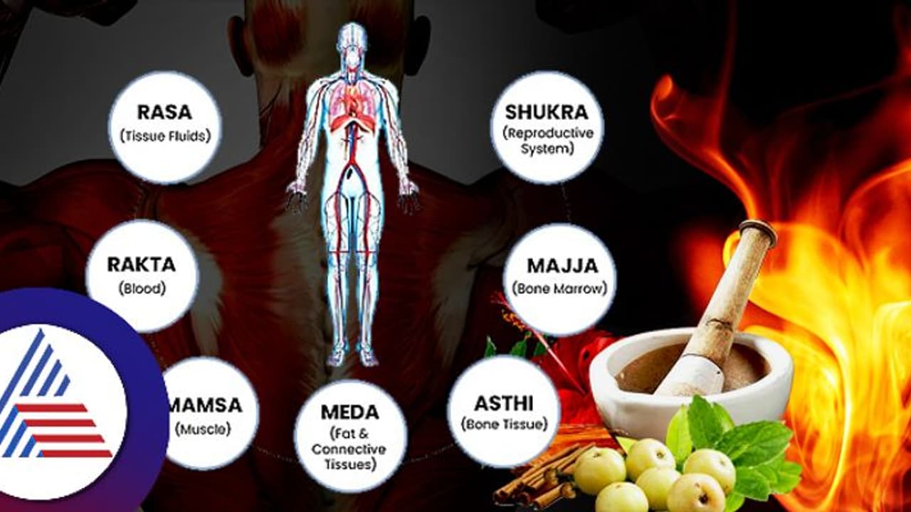 ಕಾಮಕ್ಕೆ ಧಾತು ಬೇಕು, ಅದು ಹೆಚ್ಚಬೇಕಾದರೆ ಹೀಗ್ ಮಾಡ್ಬೇಕು ಅಂತಾನೆ ವಾತ್ಸಾಯನ ಕಾಮಕ್ಕೆ ಧಾತು ಬೇಕು, ಅದು ಹೆಚ್ಚಬೇಕಾದರೆ ಹೀಗ್ ಮಾಡ್ಬೇಕು ಅಂತಾನೆ ವಾತ್ಸಾಯನ