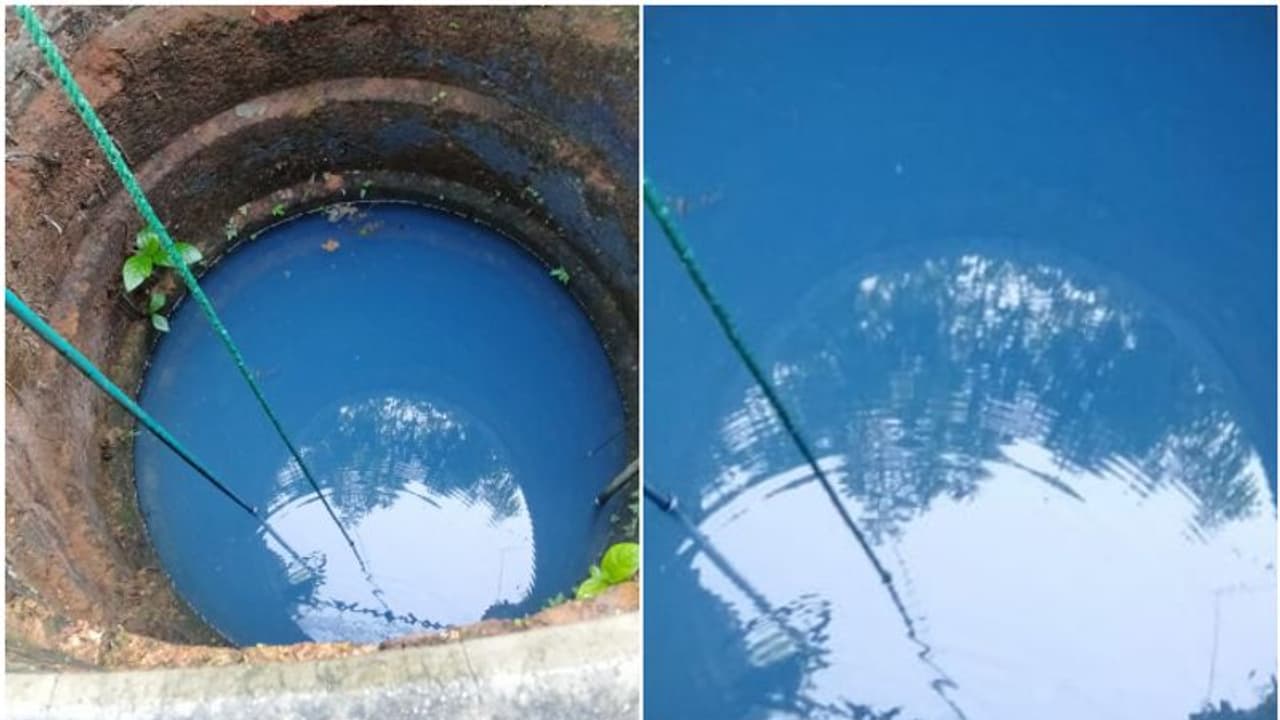 ചായം കലക്കിയ പോലെ കിണറ്റിലെ വെള്ളത്തിന് നീല നിറം; ആശങ്കയില് വീട്ടുകാര് ചായം കലക്കിയ പോലെ കിണറ്റിലെ വെള്ളത്തിന് നീല നിറം; ആശങ്കയില് വീട്ടുകാര്
