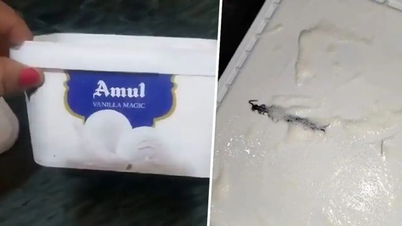 Noida woman finds centipede inside Amul Ice Cream tub ordered online, video goes viral (WATCH) Noida woman finds centipede inside Amul Ice Cream tub ordered online, video goes viral (WATCH)