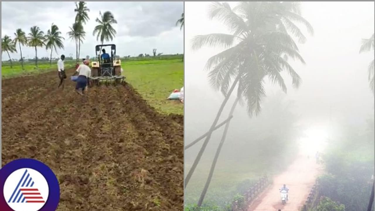 ರಾಜ್ಯಾದ್ಯಂತ ತಗ್ಗಿದ ವರುಣಾರ್ಭಟ, ಬಿತ್ತನೆ ಕಾರ್ಯಕ್ಕಿದು ಸಕಾಲ; ಕರಾವಳಿಯಲ್ಲಿ ಹಗುರ ಮಳೆ ಮುನ್ಸೂಚನೆ!