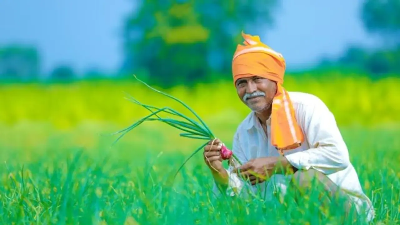 सम्मान निधि के बाद मोदी 3.0 गर्वनमेंट किसानों को एक और तोहफा देने की तैयारी में...MSP को लेकर ये है नया अपडेट