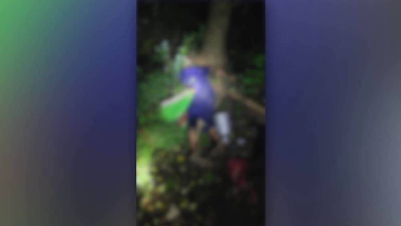 കോഴിഫാമിലെ വൈദ്യുതി വേലിയിൽ നിന്ന് ഷോക്കേറ്റ് വയോധിക മരിച്ചു; ഫാം ഉടമ കസ്റ്റഡിയിൽ കോഴിഫാമിലെ വൈദ്യുതി വേലിയിൽ നിന്ന് ഷോക്കേറ്റ് വയോധിക മരിച്ചു; ഫാം ഉടമ കസ്റ്റഡിയിൽ