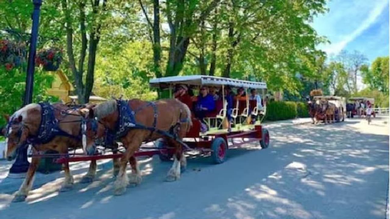 മോട്ടോർ വാഹനങ്ങൾ ഉപയോഗിക്കാൻ അനുവാദമില്ല, പകരം കുതിരവണ്ടി കിട്ടും, ആ മനോഹര ദ്വീപ്