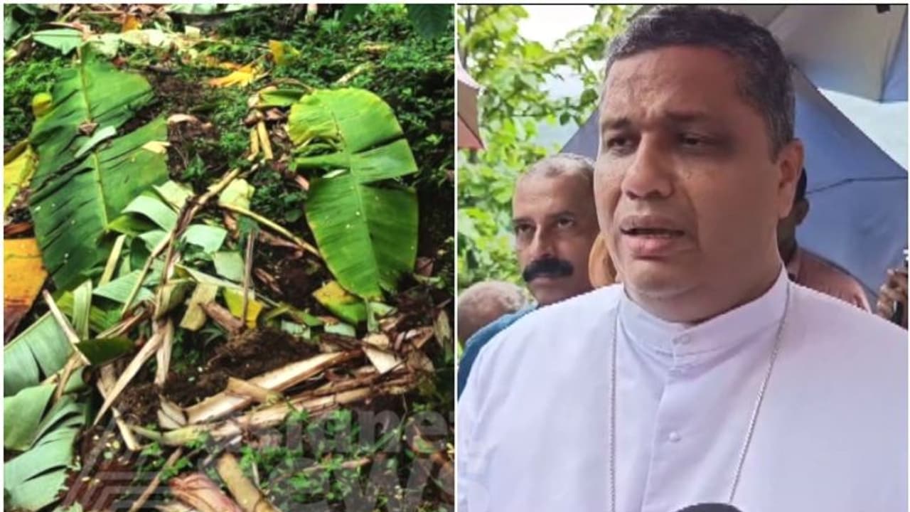 വന്യമൃഗ ശല്യം:'മന്ത്രിയോട് പരാതിപ്പെട്ടതെല്ലാം ചെന്നെത്തിയത് ബധിര കര്ണങ്ങളിൽ'; സര്ക്കാരിനെതിരെ പാംപ്ലാനി വന്യമൃഗ ശല്യം:'മന്ത്രിയോട് പരാതിപ്പെട്ടതെല്ലാം ചെന്നെത്തിയത് ബധിര കര്ണങ്ങളിൽ'; സര്ക്കാരിനെതിരെ പാംപ്ലാനി