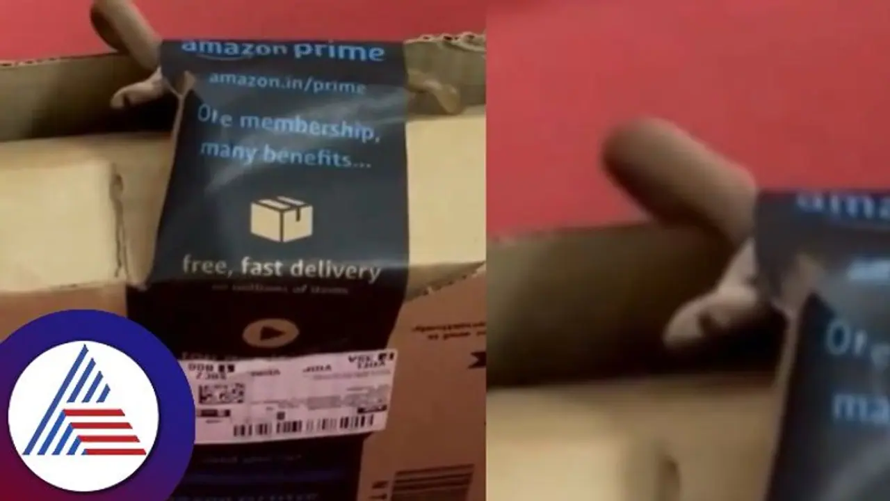 ಅಮೇಜಾನ್‌ನಲ್ಲಿ ಎಕ್ಸ್‌ಬಾಕ್ಸ್ ಆರ್ಡರ್ ಮಾಡಿದ ದಂಪತಿಗೆ ಪಾರ್ಸೆಲ್ ಜೊತೆ 'ನಾಗರಹಾವು' ಫ್ರೀ!