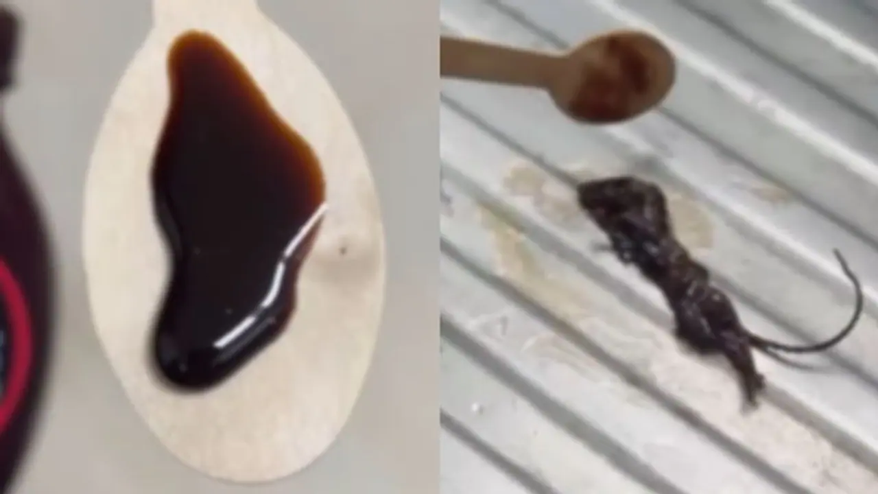  Family Discovers Dead Mouse in Sealed Hershey’s Chocolate Syrup; Company Issues Apology