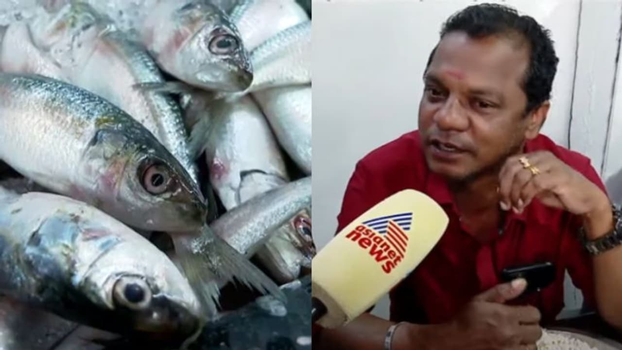 'അഞ്ച് രൂപയ്ക്ക് ചട്ടി നിറയെ ചാള കിട്ടിയിരുന്ന കാലമുണ്ടായിരുന്നു'; മത്തിക്ക് ഇന്ന് പൊന്നുംവില, 400ൽ എത്തി 'അഞ്ച് രൂപയ്ക്ക് ചട്ടി നിറയെ ചാള കിട്ടിയിരുന്ന കാലമുണ്ടായിരുന്നു'; മത്തിക്ക് ഇന്ന് പൊന്നുംവില, 400ൽ എത്തി