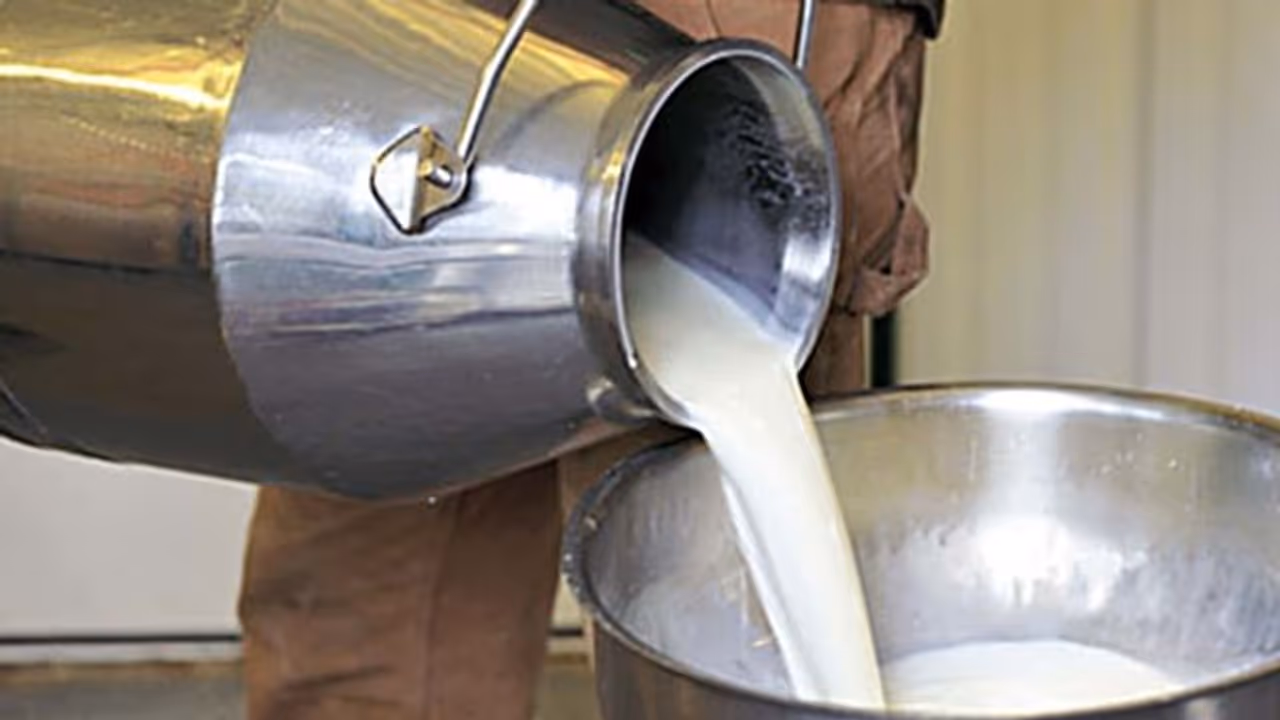 Milk Price Reduced: தமிழகத்தில் அதிரடியாக குறைந்த பால், தயிர் விலை.. எவ்வளவு தெரியுமா?