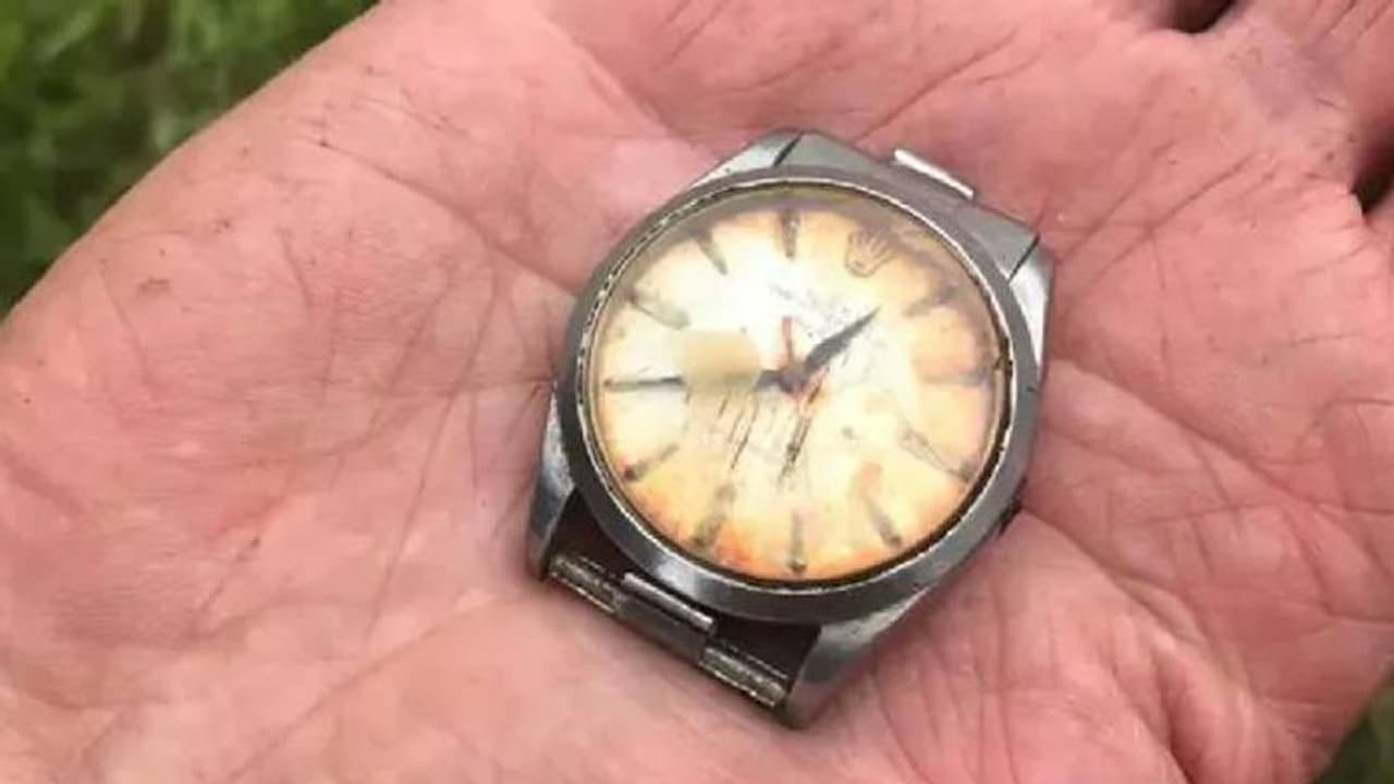 50 കൊല്ലം മുമ്പ് പശു തിന്ന റോളക്സ് വാച്ച് തിരികെ കിട്ടി, അമ്പരന്ന് കർഷകൻ 50 കൊല്ലം മുമ്പ് പശു തിന്ന റോളക്സ് വാച്ച് തിരികെ കിട്ടി, അമ്പരന്ന് കർഷകൻ