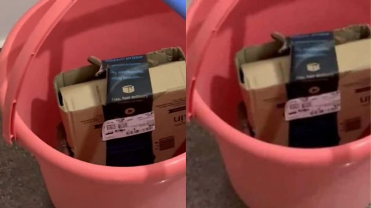 அமேசான் பார்சலில் பாம்பு.. எக்ஸ்பாக்ஸ் கன்ட்ரோலரை ஆர்டர் செய்தவருக்கு காத்திருந்த அதிர்ச்சி!