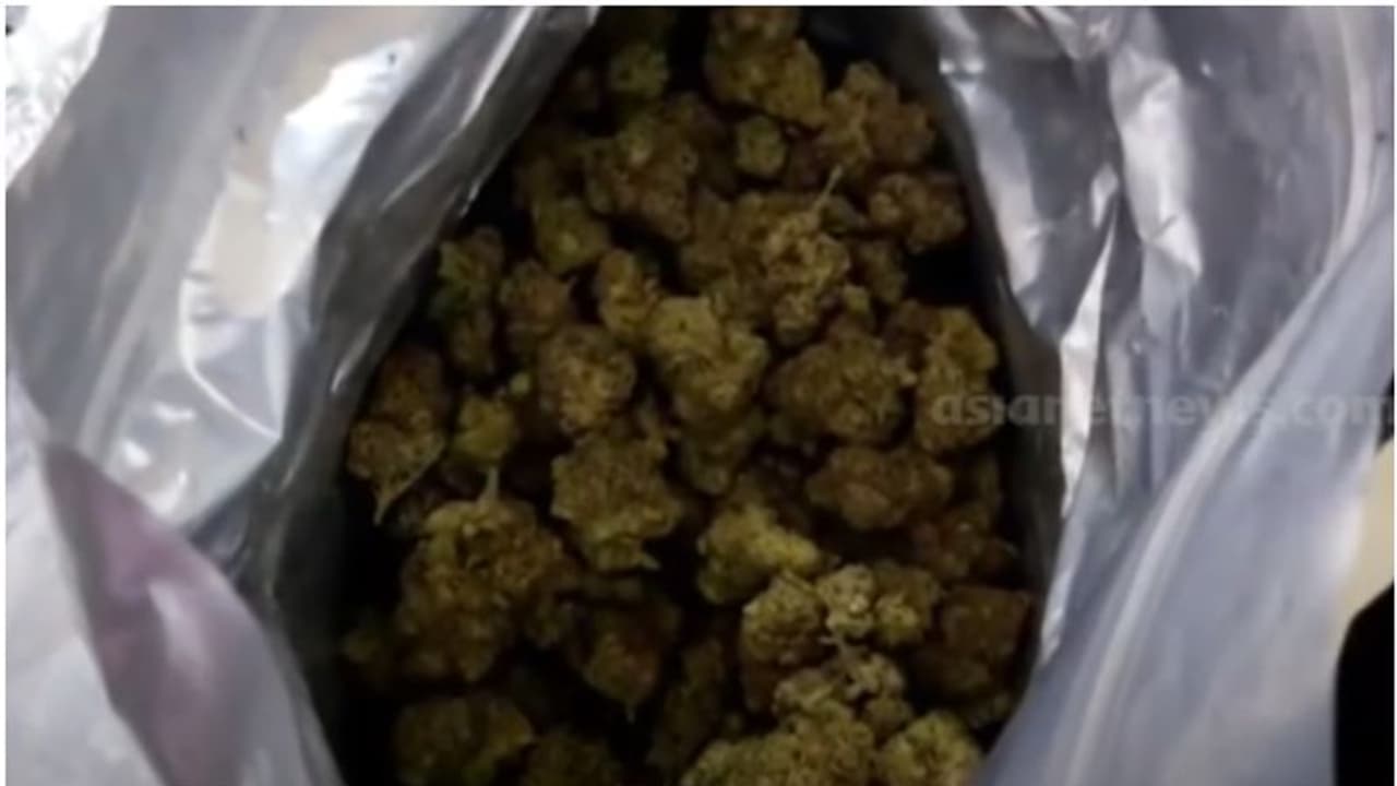 ട്രോളി ബാഗിൽ ഹൈബ്രിഡ് കഞ്ചാവ്; കരിപ്പൂർ കേന്ദ്രീകരിച്ച് വിദേശത്തേക്ക് ലഹരി കടത്തുന്ന സംഘത്തിലെ 3 പേർ പിടിയിൽ ട്രോളി ബാഗിൽ ഹൈബ്രിഡ് കഞ്ചാവ്; കരിപ്പൂർ കേന്ദ്രീകരിച്ച് വിദേശത്തേക്ക് ലഹരി കടത്തുന്ന സംഘത്തിലെ 3 പേർ പിടിയിൽ