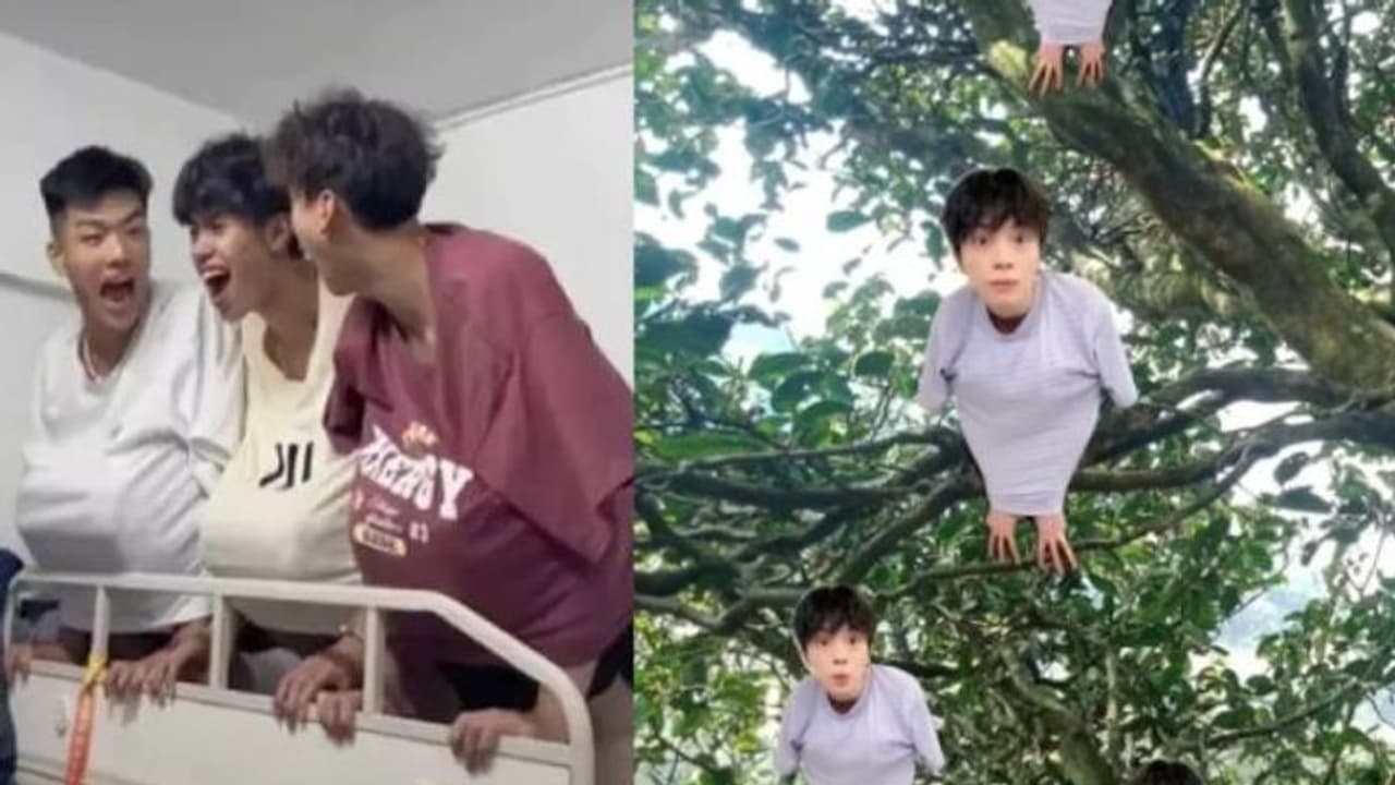 ഇങ്ങനെ പണിയെടുക്കാൻ വയ്യ, 'പക്ഷി'കളായി മാറി ചൈനയിലെ യുവാക്കൾ, പുതിയ ട്രെന്ഡിങ്ങനെ ഇങ്ങനെ പണിയെടുക്കാൻ വയ്യ, 'പക്ഷി'കളായി മാറി ചൈനയിലെ യുവാക്കൾ, പുതിയ ട്രെന്ഡിങ്ങനെ