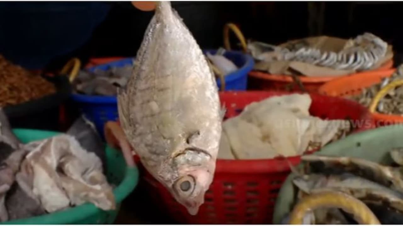 ഉണക്കമീനിനും 'പിടയ്ക്കുന്ന' വില; വിലവർദ്ധന വിപണിയിലെത്തിക്കാൻ മീനില്ലാതായതോടെ ഉണക്കമീനിനും 'പിടയ്ക്കുന്ന' വില; വിലവർദ്ധന വിപണിയിലെത്തിക്കാൻ മീനില്ലാതായതോടെ