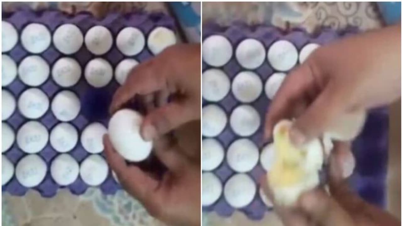 ഇതെന്ത് മറിമായം! ഒന്ന് കാറിൽ മറന്നുവെച്ചതാ, തനിയെ ട്രേയിലിരുന്ന് 'പുഴുങ്ങി' മുട്ട; വീഡിയോ വൈറല് ഇതെന്ത് മറിമായം! ഒന്ന് കാറിൽ മറന്നുവെച്ചതാ, തനിയെ ട്രേയിലിരുന്ന് 'പുഴുങ്ങി' മുട്ട; വീഡിയോ വൈറല്