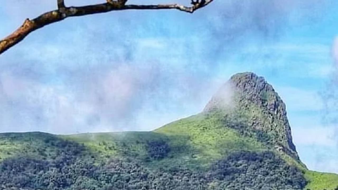 Ettina Bhuja: ಕಾಫಿನಾಡ ಸುಪ್ರಸಿದ್ಧ ಪ್ರವಾಸಿ ತಾಣ ಎತ್ತಿನಭುಜಕ್ಕೆ ಪ್ರವಾಸಿಗರಿಗೆ ನಿರ್ಬಂಧ: ಕಾರಣವೇನು?