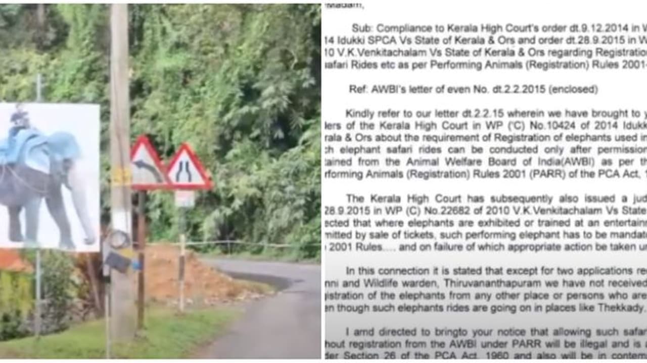 ഒരാനയുടെ രജിസ്ട്രേഷന്റെ മറവിൽ ഒന്നിലധികം ആനകളെ നിരത്തി സഫാരി തകൃതി; നടപടിയെടുക്കാതെ ഇടുക്കി ജില്ലാ ഭരണകൂടം ഒരാനയുടെ രജിസ്ട്രേഷന്റെ മറവിൽ ഒന്നിലധികം ആനകളെ നിരത്തി സഫാരി തകൃതി; നടപടിയെടുക്കാതെ ഇടുക്കി ജില്ലാ ഭരണകൂടം