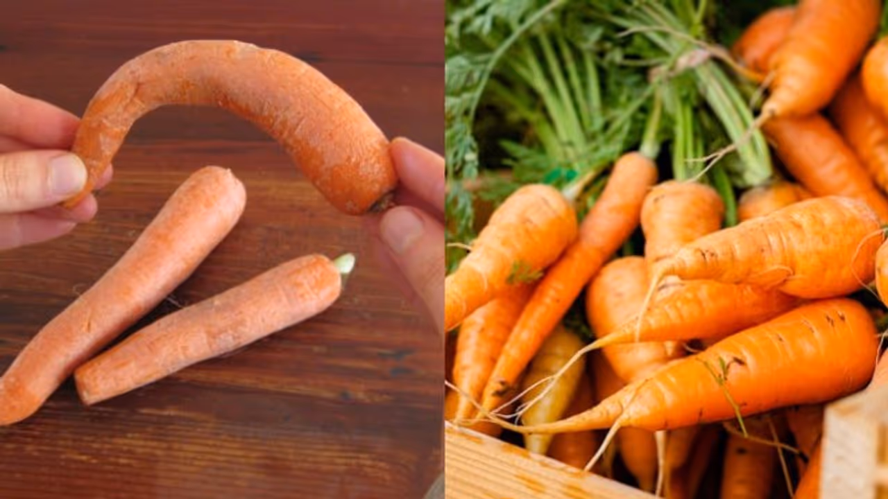 ക്യാരറ്റ് വാടി പോയോ? മിനിട്ടുകൾ കൊണ്ട് ഫ്രഷാക്കി മാറ്റാൻ ഇതാ ഒരു പൊടിക്കെെ 