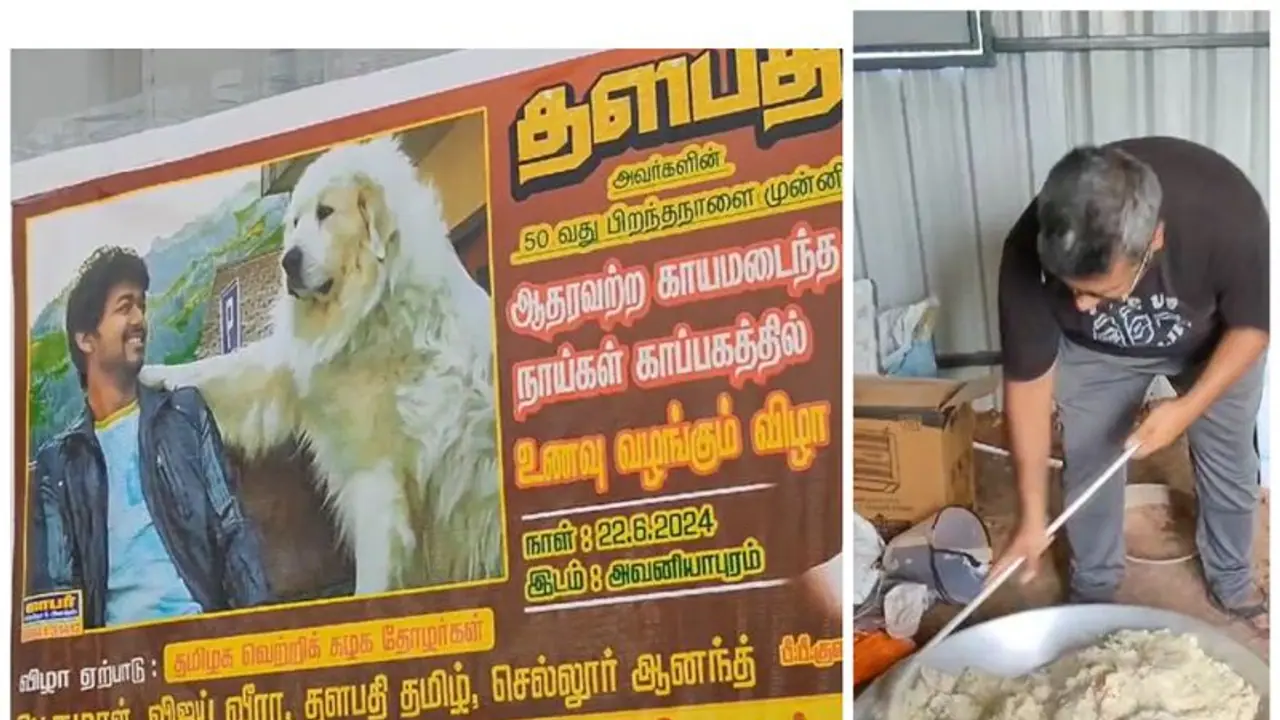 நடிகர் விஜய் பிறந்தநாள்; மதுரையில் கைவிடப்பட்ட நாய்களுக்கு பிரியாணி விருந்து வைத்த விஜய் ரசிகர்கள்