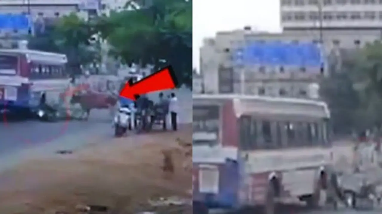 சாவு எப்படியெல்லாம் வருது பார்த்தீங்களா? எமன் ரூபத்தில் வந்த மாடு! பஸ் சக்கரத்தில் சிக்கி நீதிமன்ற ஊழியர் பலி!