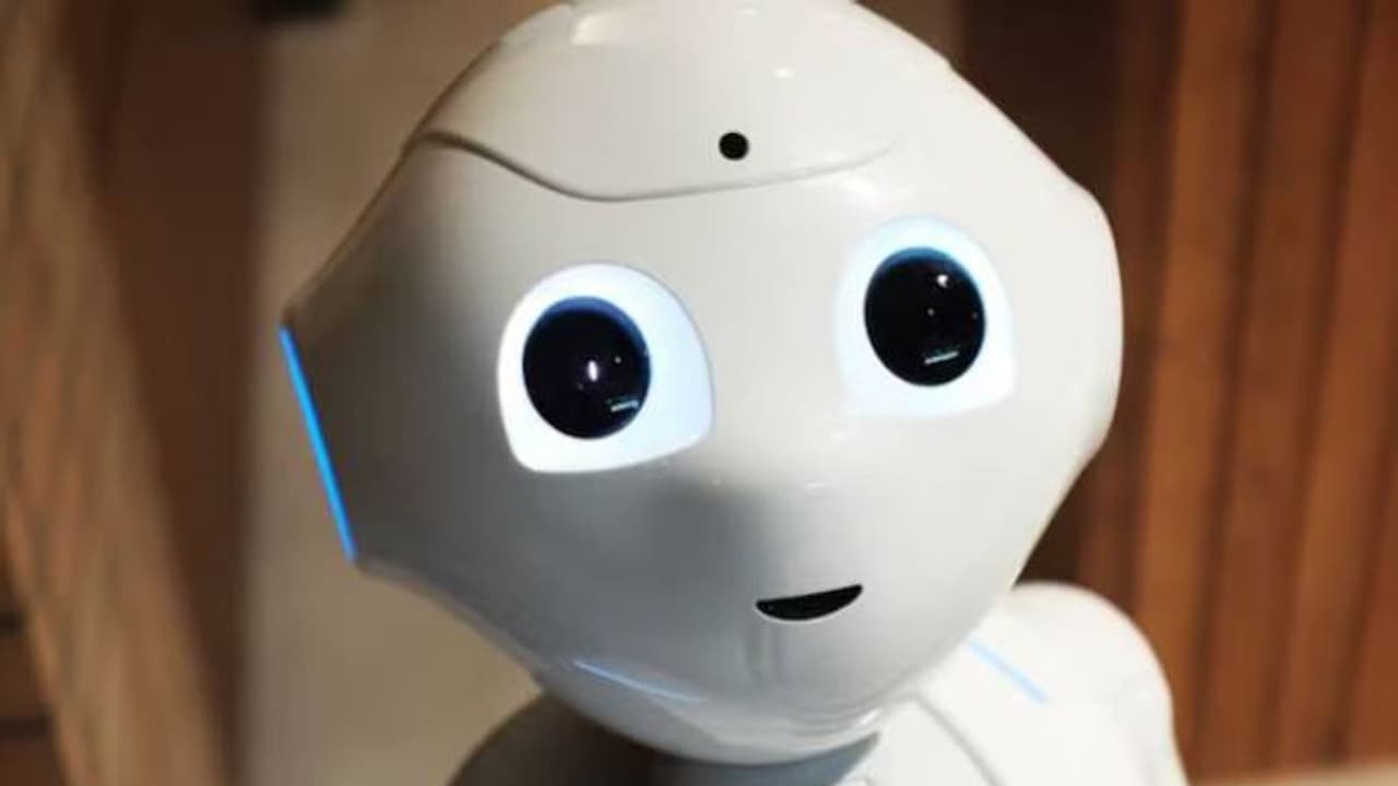 വൈകാരിക ബന്ധമുള്ള സെക്സ്‍ബോട്ടുകൾ പുറത്തിറക്കാൻ ചൈനീസ് കമ്പനി, നിർമ്മാണം എഐ സാങ്കേതികവിദ്യ ഉപയോഗിച്ച് 