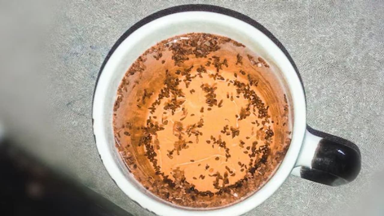 Health Tips: ഗ്യാസും അസിഡിറ്റിയും അകറ്റാനും വണ്ണം കുറയ്ക്കാനും ഡയറ്റില്‍ ഉള്‍പ്പെടുത്താം അയമോദക വെള്ളം