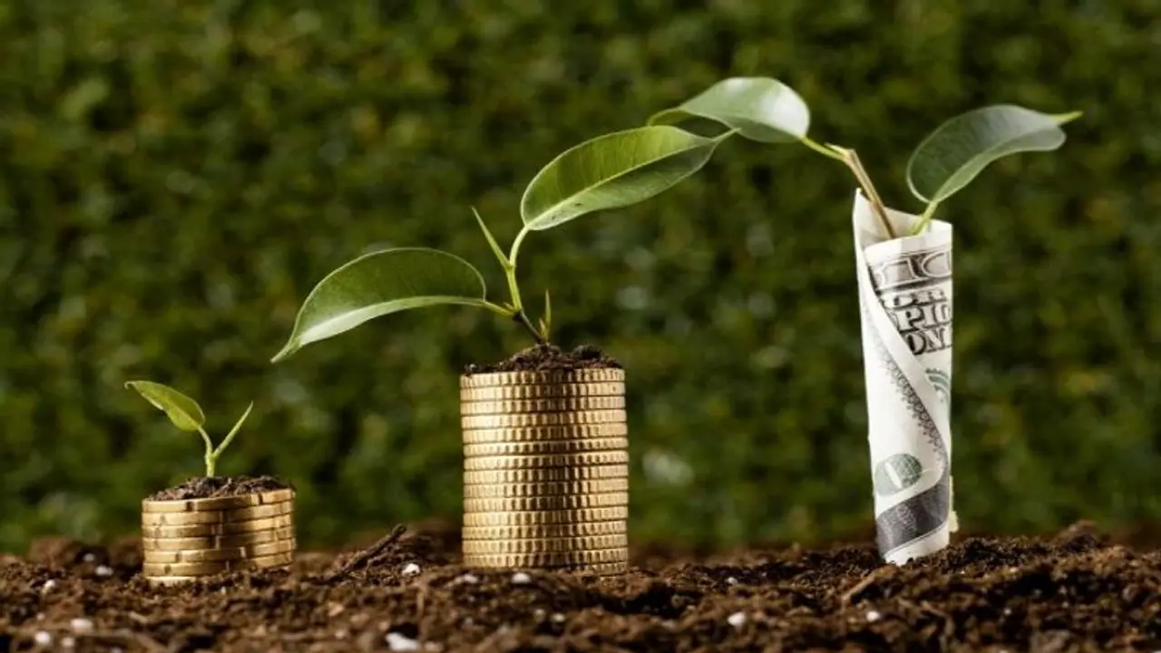 A guide on how to build a fund of over Rs 50 lakh with an initial investment of Rs 5000