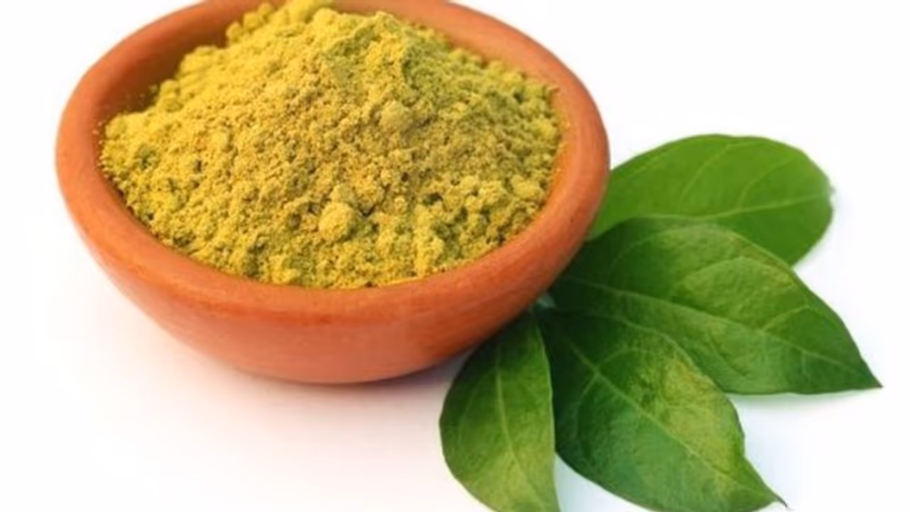 रूखे बेजान बाल बनेंगे चमकदार, बस हफ्ते में दो बार लगाएं मेहंदी की पत्ती