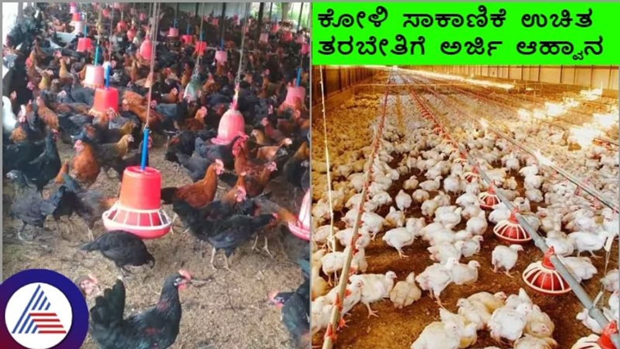 ಉಚಿತ ಊಟ, ವಸತಿಯೊಂದಿಗೆ ಕೋಳಿ ಸಾಕಾಣಿಕೆ ತರಬೇತಿಗೆ ಅರ್ಜಿ ಆಹ್ವಾನ; ಜು.02 ಕೊನೆ ದಿನ ಉಚಿತ ಊಟ, ವಸತಿಯೊಂದಿಗೆ ಕೋಳಿ ಸಾಕಾಣಿಕೆ ತರಬೇತಿಗೆ ಅರ್ಜಿ ಆಹ್ವಾನ; ಜು.02 ಕೊನೆ ದಿನ