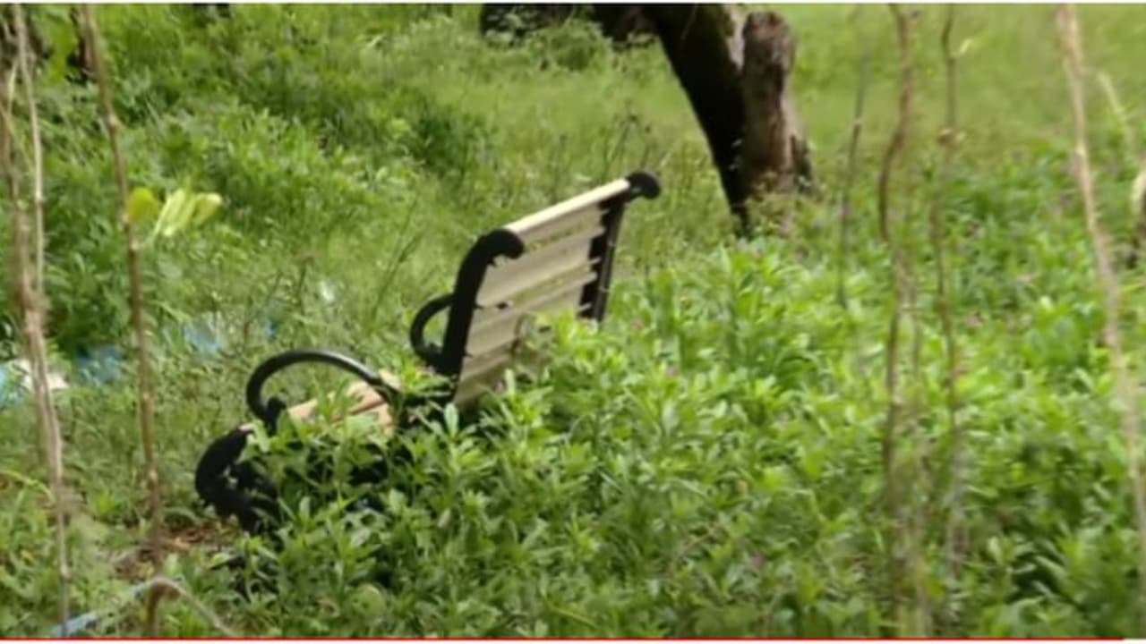 കൊല്ലത്തെ സ്ത്രീകളുടെ പാർക്ക് കാട് കയറി നശിക്കുന്നു; നവീകരിച്ച് തുറക്കണമെന്ന് ആവശ്യം