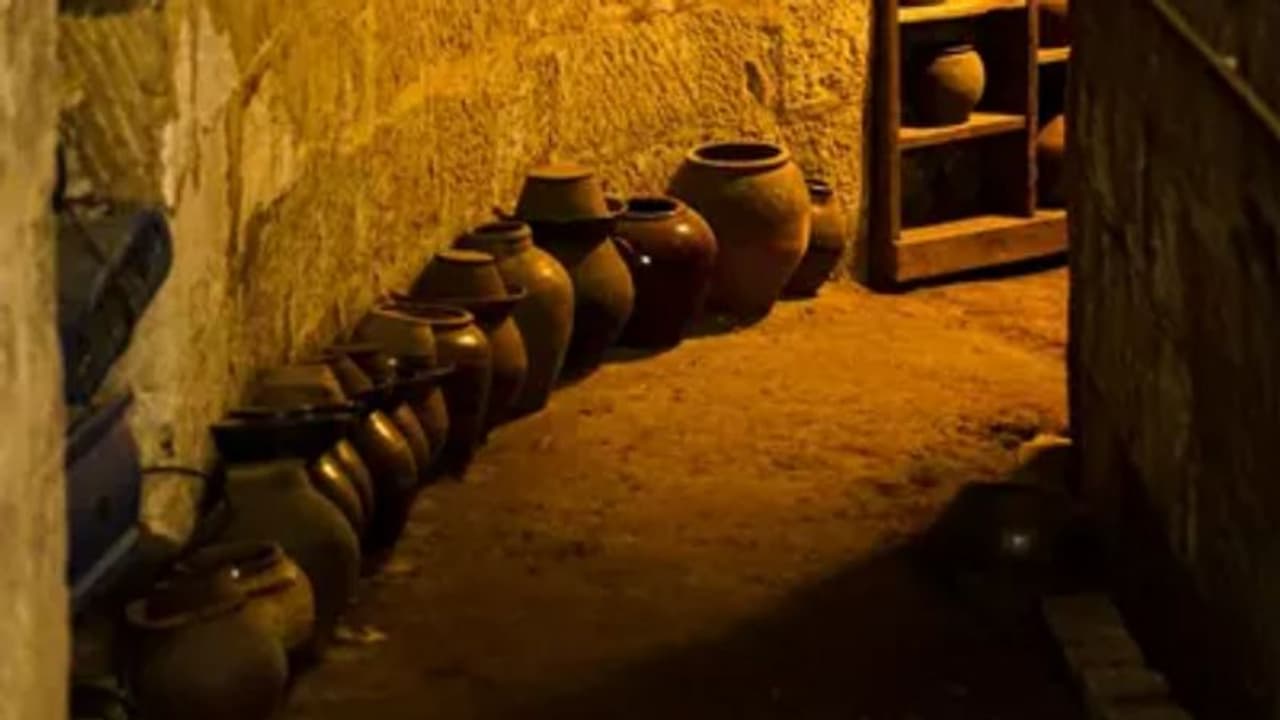 உலகின் மிகவும் பழமையான ஒயின்.. ரோமானிய கல்லறையில் கண்டுபிடிப்பு.. எத்தனை வருடம் தெரியுமா? உலகின் மிகவும் பழமையான ஒயின்.. ரோமானிய கல்லறையில் கண்டுபிடிப்பு.. எத்தனை வருடம் தெரியுமா?