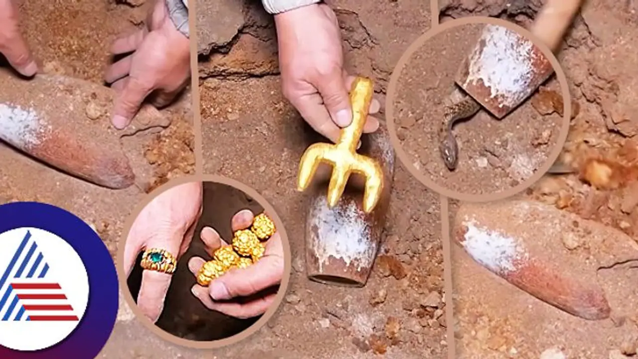 ಭೂಮಿ ಆಗೆಯುವಾಗ ಪವಾಡ, ತ್ರಿಶೂಲ, ಉಂಗುರ ಸೇರಿ ಚಿನ್ನದ ನಿಧಿಗೆ ಕಾವಲಿತ್ತು ನಾಗರ ಹಾವು!