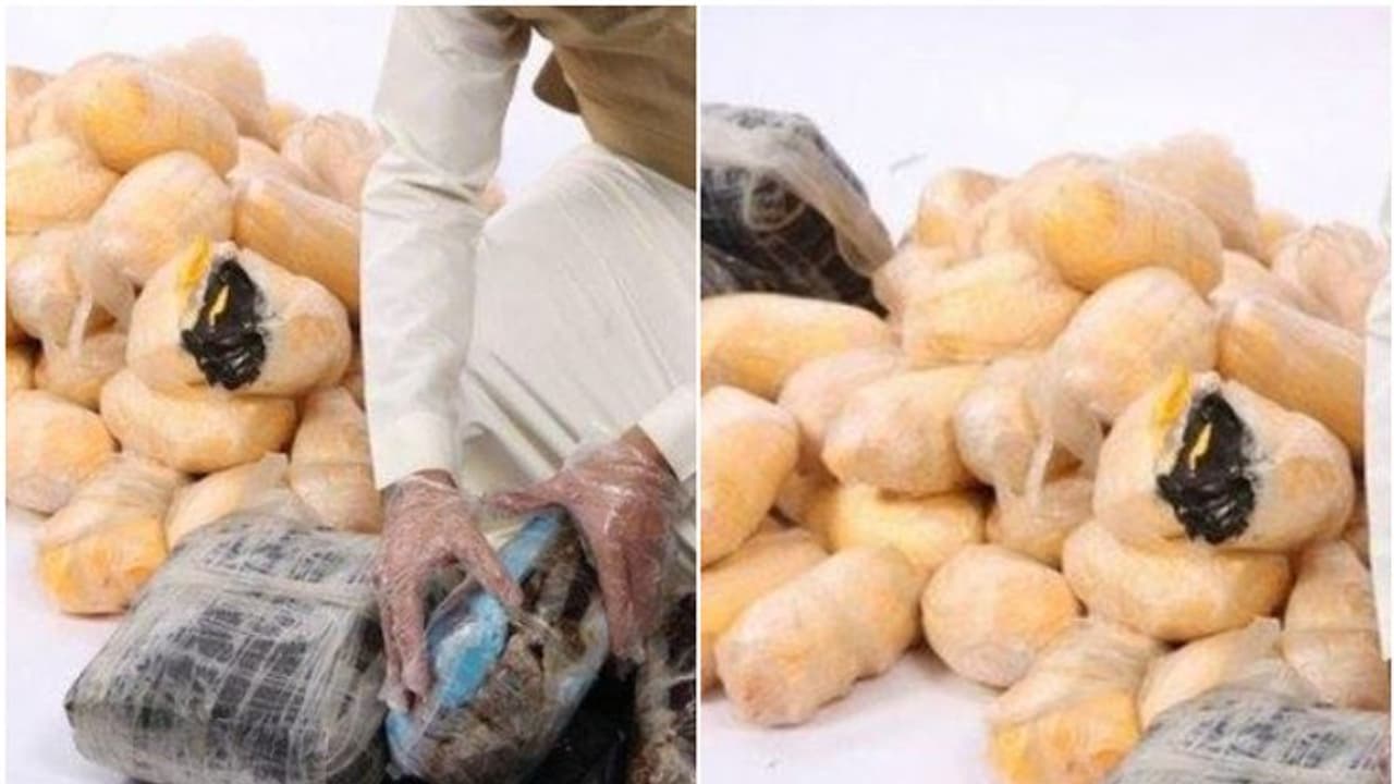 വില 15 കോടി രൂപ! അതിര്ത്തി വഴി കടത്താന് ശ്രമം; കര്ശന പരിശോധനയില് കുടുങ്ങി, പിടിച്ചെടുത്തത് 73 കിലോ ഹാഷിഷ് വില 15 കോടി രൂപ! അതിര്ത്തി വഴി കടത്താന് ശ്രമം; കര്ശന പരിശോധനയില് കുടുങ്ങി, പിടിച്ചെടുത്തത് 73 കിലോ ഹാഷിഷ്