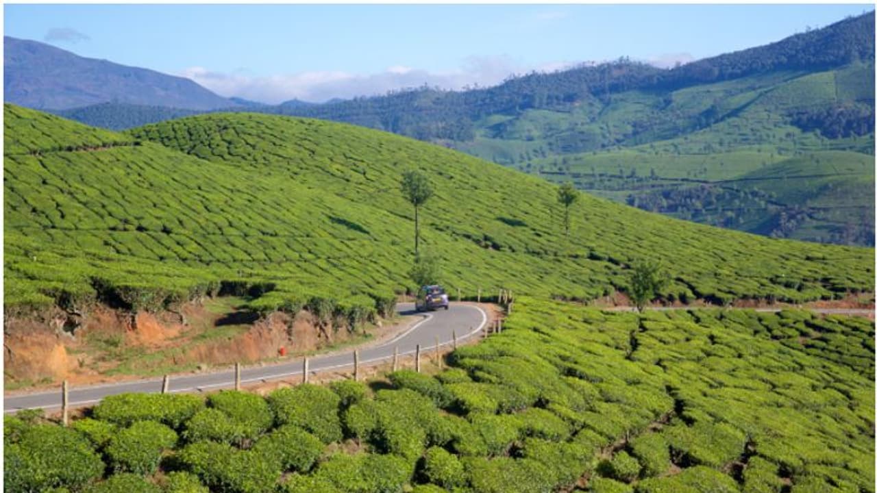 ഇടുക്കിയിൽ രാത്രി യാത്രയ്ക്ക് നിരോധനം; അതീവ ജാഗ്രത പുലർത്തണമെന്ന് കളക്ടർ ഇടുക്കിയിൽ രാത്രി യാത്രയ്ക്ക് നിരോധനം; അതീവ ജാഗ്രത പുലർത്തണമെന്ന് കളക്ടർ