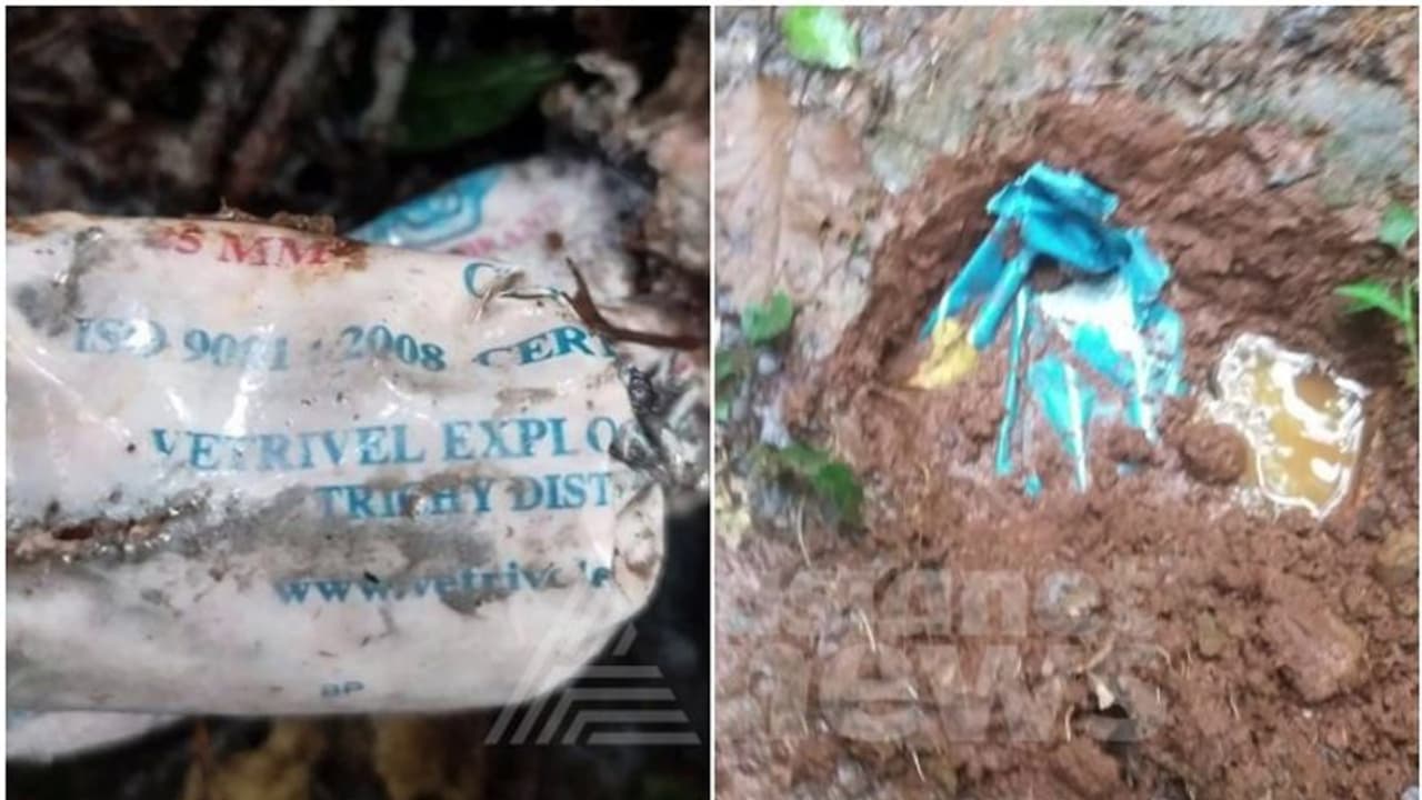 മക്കിമലയിൽ കണ്ടെത്തിയ കുഴിബോംബുകൾ നിർവീര്യമാക്കി; തണ്ടർബോൾട്ടിനെ ലക്ഷ്യമിട്ട് കുഴിച്ചിട്ടതെന്ന് നി​ഗമനം